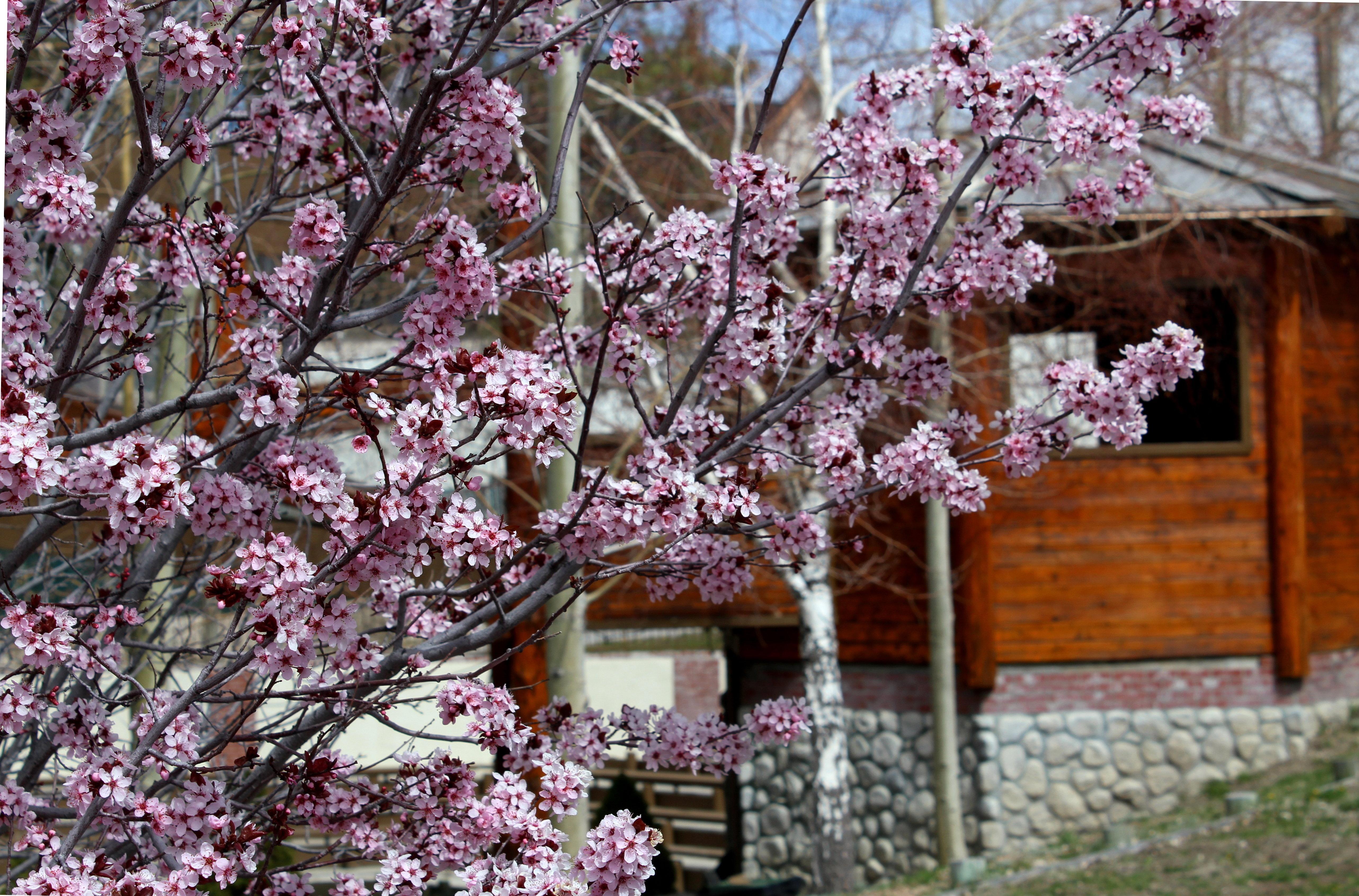 The At Big Bear By Ihg Hotel Big Bear Lake