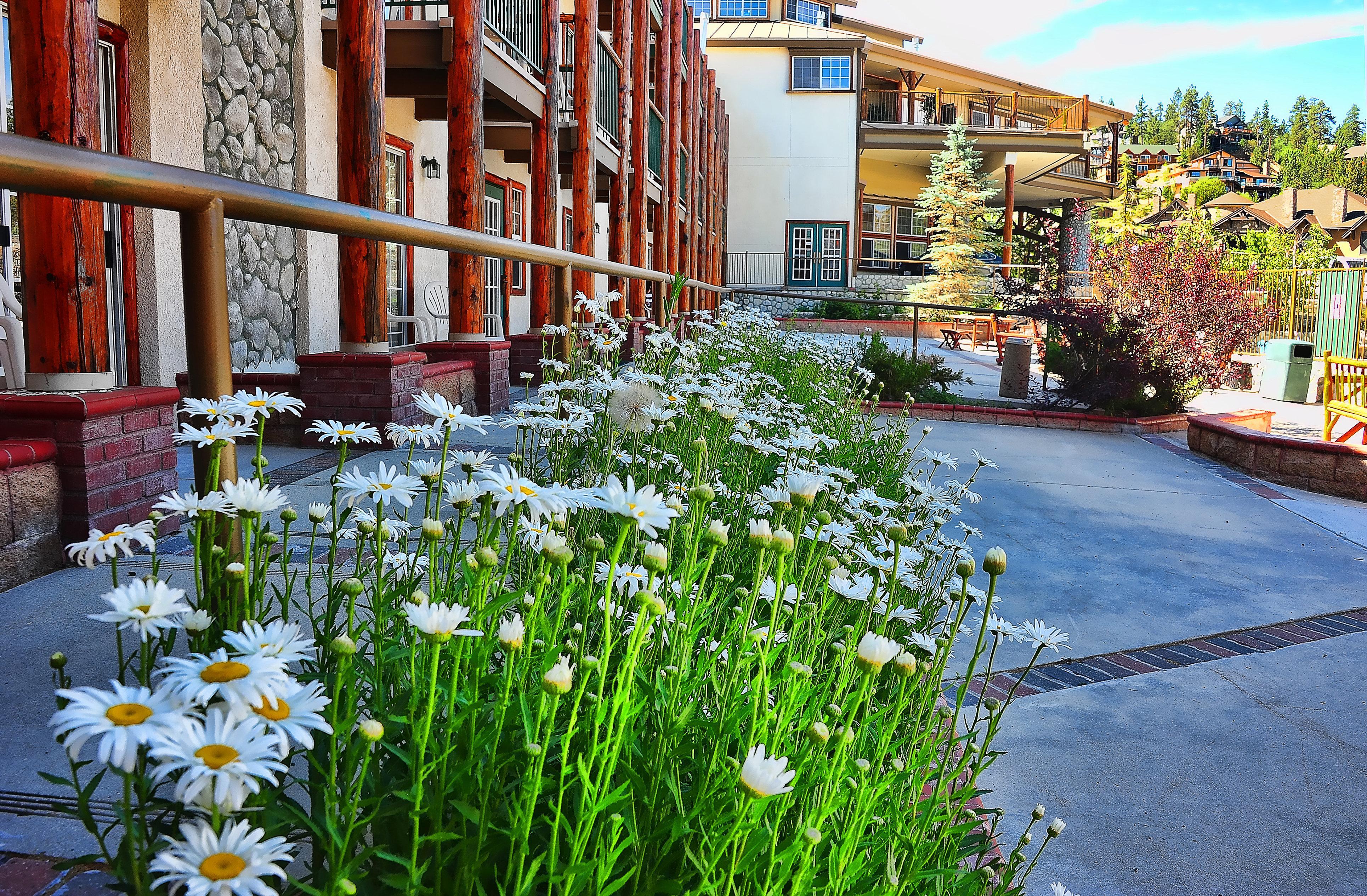 Hotel The At Big Bear By Ihg Big Bear Lake